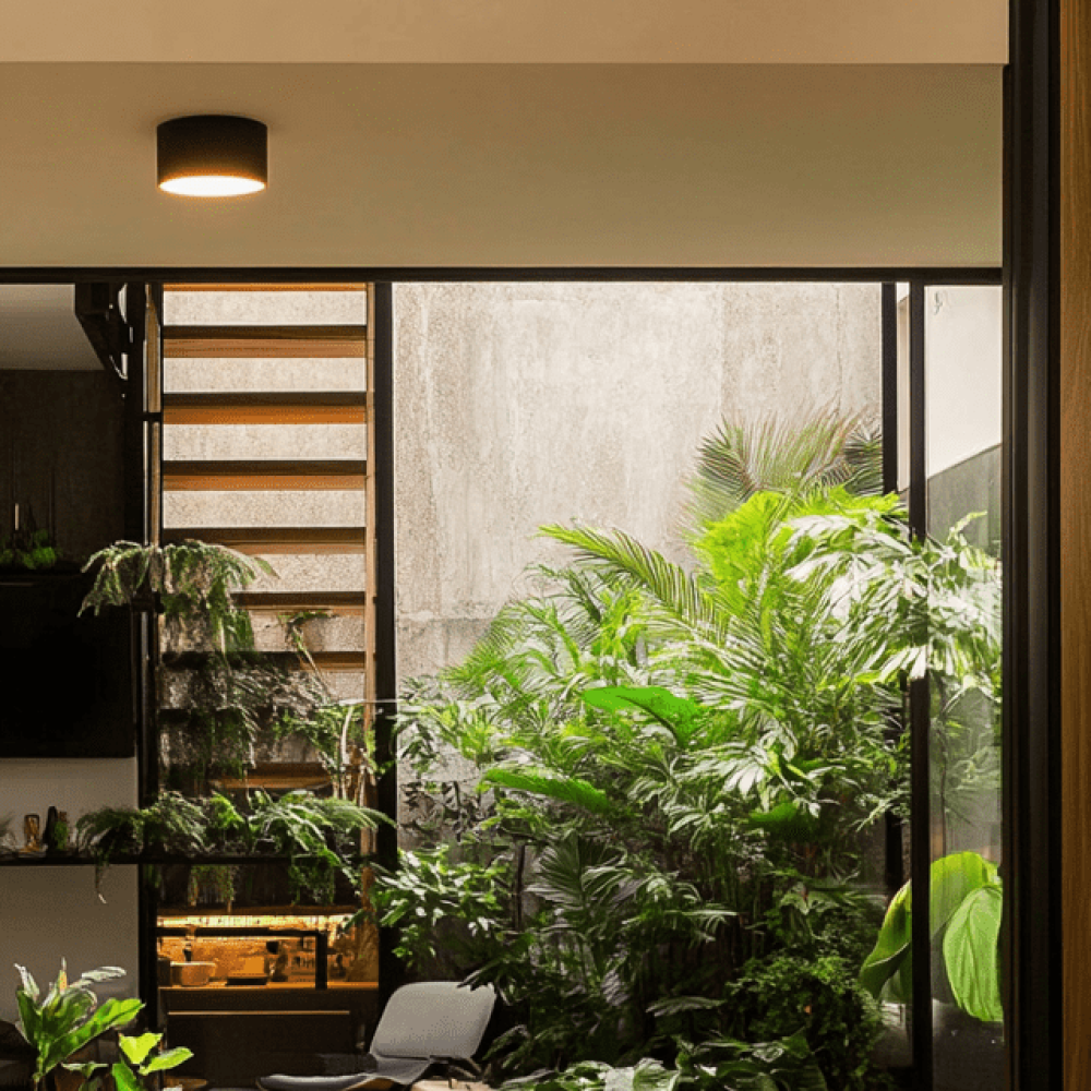 iamanm_indoor_gardern_for_urban_home_585da0d2-db46-44ab-9211-31e491ed191a-min